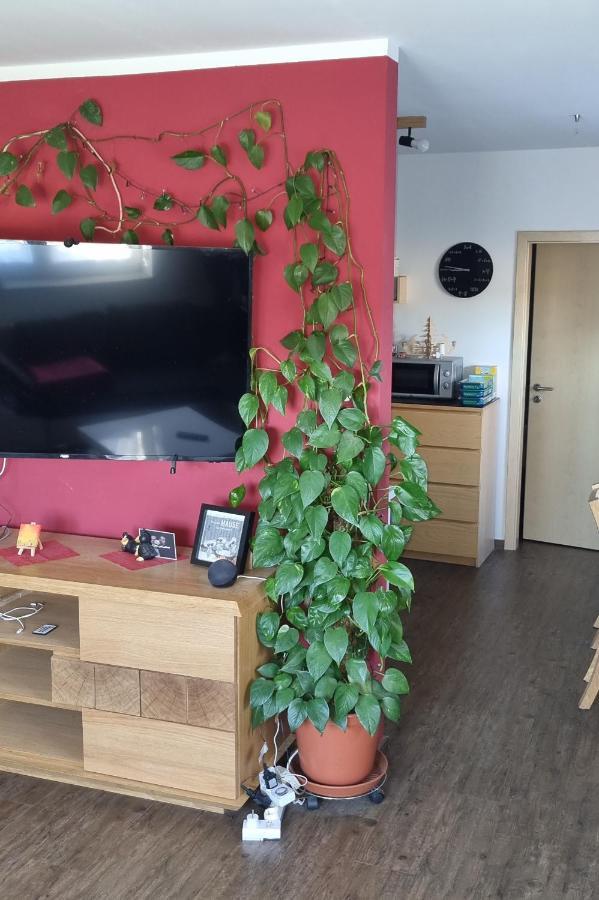 Ferienwohnung Bergidyll Schwarzenberg  Kültér fotó
